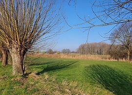 Cozy Glamping in Limburg