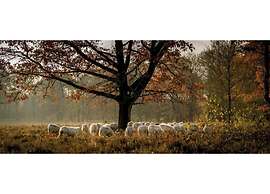 Forest Farmhouse w/ Private Garden