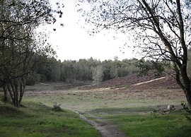 Forest Farmhouse w/ Private Garden