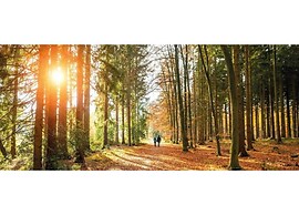 Forest Farmhouse w/ Private Garden