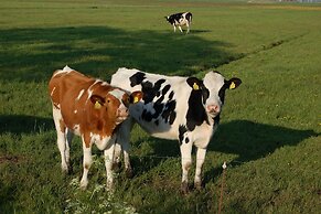 Apartment in Workum Near Ijsselmeer Beach