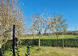 Pets Welcome, Veluwe Farmhouses for All
