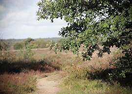 Pets Welcome, Veluwe Farmhouses for All