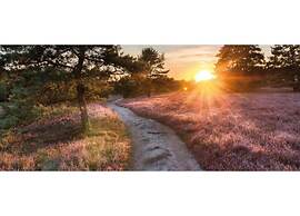 Pets Welcome, Veluwe Farmhouses for All