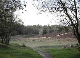 Pets Welcome, Veluwe Farmhouses for All