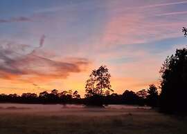 Pets Welcome, Veluwe Farmhouses for All