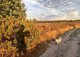 Pets Welcome, Veluwe Farmhouses for All