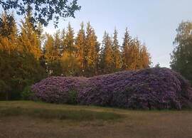 Pets Welcome, Veluwe Farmhouses for All