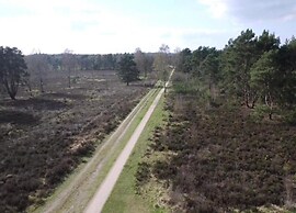 Pets Welcome, Veluwe Farmhouses for All