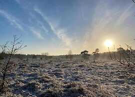 Pets Welcome, Veluwe Farmhouses for All