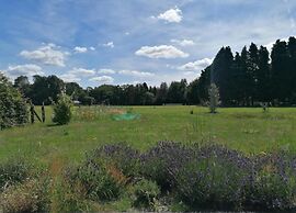 Pets Welcome, Veluwe Farmhouses for All