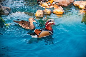 Baanmax Boutique Pet Resort & Lodge