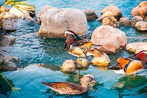 Baanmax Boutique Pet Resort & Lodge