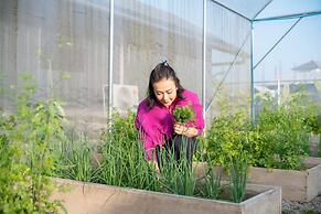 Baanmax Boutique Pet Resort & Lodge