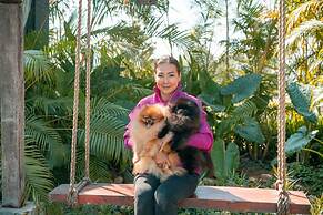 Baanmax Boutique Pet Resort & Lodge