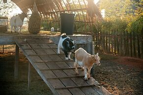 Baanmax Boutique Pet Resort & Lodge