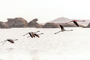 Lords Eco Inn Sumerpur - Jawai