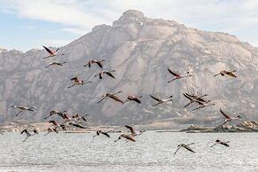 Lords Eco Inn Sumerpur - Jawai