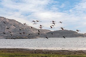 Lords Eco Inn Sumerpur - Jawai