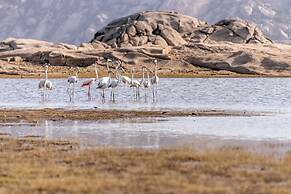 Lords Eco Inn Sumerpur - Jawai