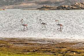 Lords Eco Inn Sumerpur - Jawai