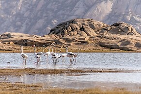 Lords Eco Inn Sumerpur - Jawai