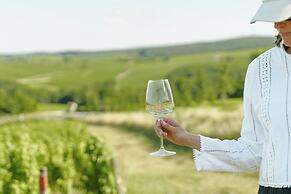 Les Hauts de Sancerre