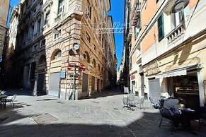 ROSA HOMES - THE RED