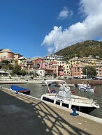 ROSA HOMES - THE RED