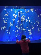 ROSA HOMES - THE RED