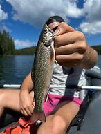 Amazing Historic 1800s Carriage House