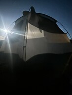 Amazing Historic 1800s Carriage House