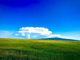 Amazing Historic 1800s Carriage House