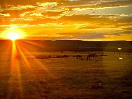 Amazing Historic 1800s Carriage House