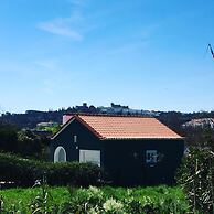 Horta dos Cedros