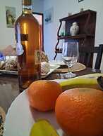 Home Elias LA Palma City