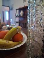 Home Elias LA Palma City