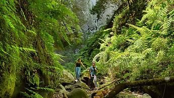 Home Elias LA Palma City