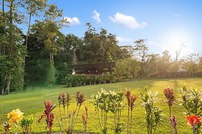 Junglo Resort and Spa