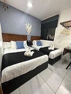 Hotel Palenque Premier