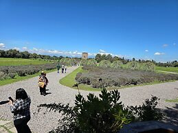 Departamento Carlo Crivelli Master