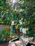 Yichun Old Yu Xinzhi Homestay