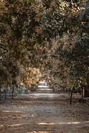 Aatman Forest Resort