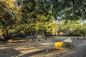 Aatman Forest Resort