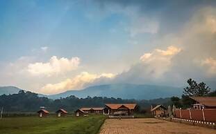 Jungle Mount Adventures