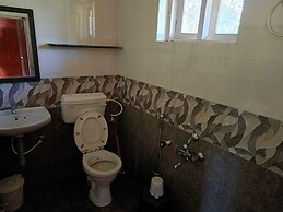 Jungle Mount Adventures