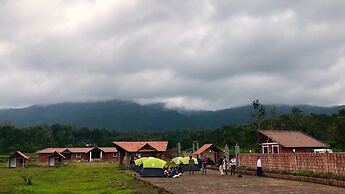 Jungle Mount Adventures