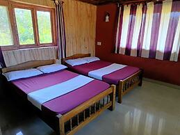 Jungle Mount Adventures