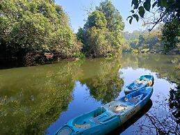 Jungle Mount Adventures