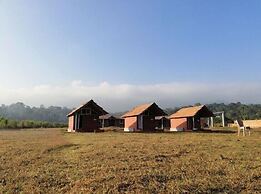 Jungle Mount Adventures